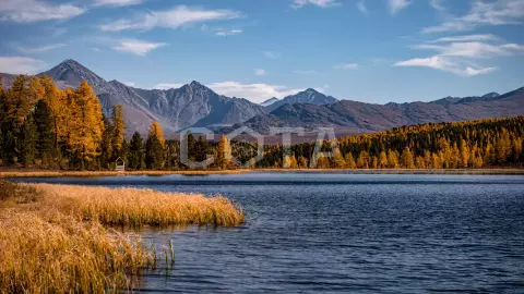 Золотое кольцо Алтая - фото 1