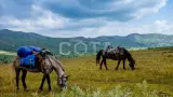 Конный тур к Каракольским озерам и нижняя Катунь - фото 6 (миниатюра)