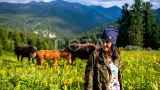 Конный тур к Каракольским озерам и нижняя Катунь - фото 2 (миниатюра)