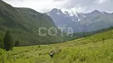 Треккинг Маашей-Каракабак и рафтинг по Чуе и Катуни - фото 18 (миниатюра)