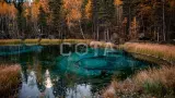 Золотое кольцо Алтая - фото 19 (миниатюра)