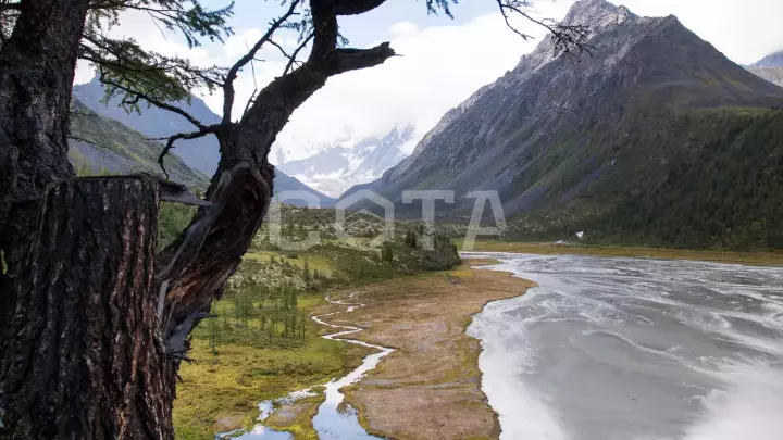 Пеший поход к Белухе с вьючными лошадьми - фото 4