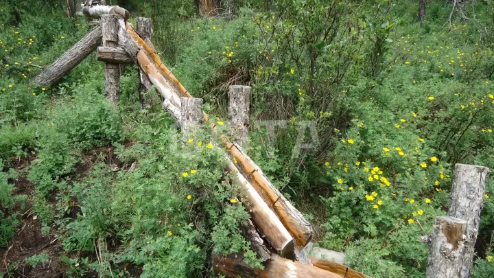 Пеший тур в долину Маашей и озерам Каракабак (эконом) - фото 6