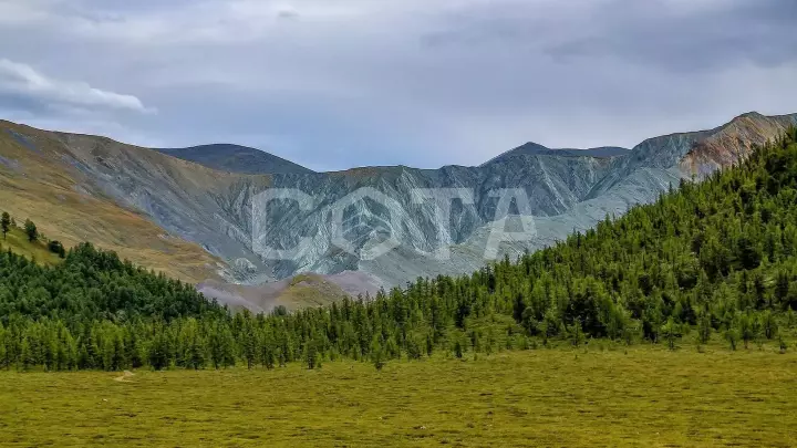 Конный тур к подножию легендарной горы Белуха (эконом) - фото 14