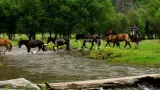 Конный тур к цепочке из семи Каракольских озер - фото 7 (миниатюра)