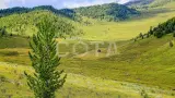 Конный тур к подножию легендарной горы Белуха (эконом) - фото 22 (миниатюра)