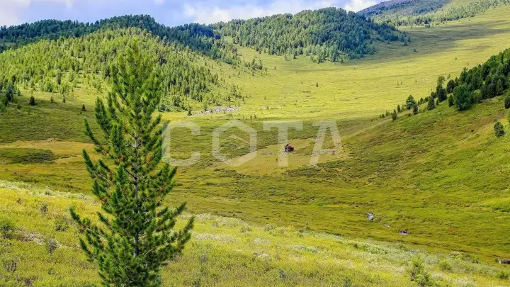 Конный тур к подножию легендарной горы Белуха (эконом) - фото 22