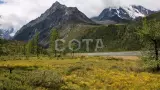 Пеший поход к Белухе с вьючными лошадьми - фото 5 (миниатюра)
