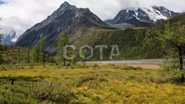Пеший поход к Белухе с вьючными лошадьми - фото 5