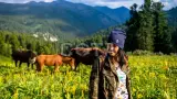 Конный тур к цепочке из семи Каракольских озер - фото 17 (миниатюра)