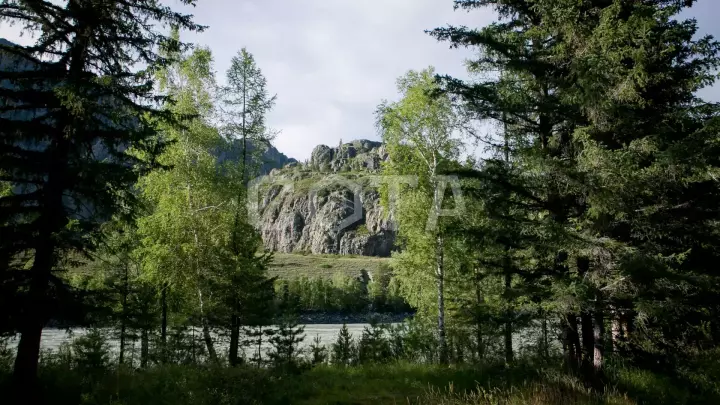 Сплав по средней Катуни - фото 13
