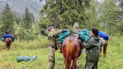 Конный тур к подножию легендарной горы Белуха (эконом) - фото 3