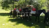 Пеший поход к Белухе с вьючными лошадьми - фото 13 (миниатюра)