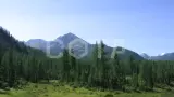 Мультинская кругосветка - фото 7 (миниатюра)
