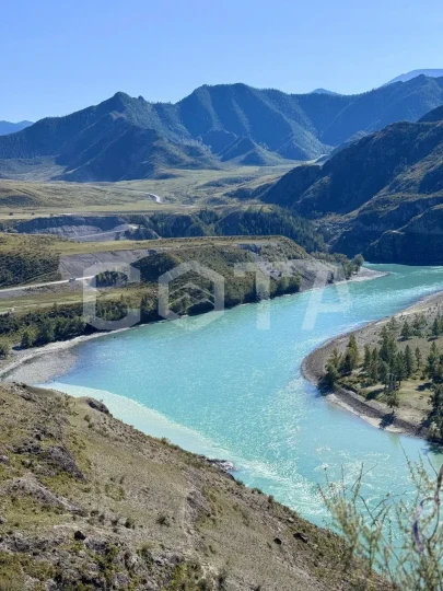 PROАлтай: Вдохновение гор - фото 2