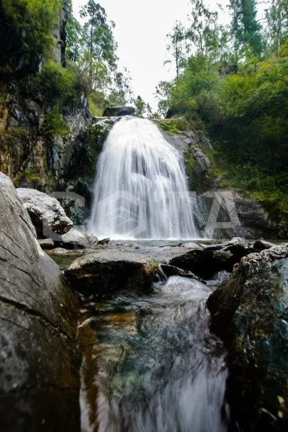 Чудеса Горного Алтая - фото 4