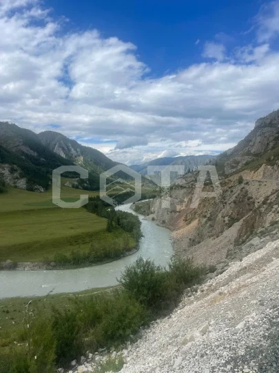 PROАлтай: Вдохновение гор - фото 4