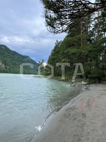 Чудеса Горного Алтая - фото 7