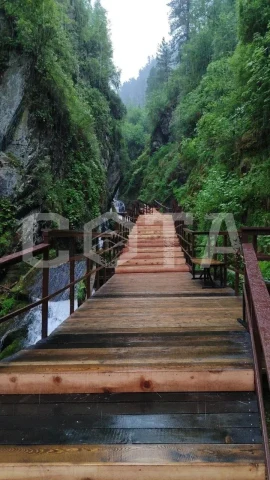 Чудеса Горного Алтая - фото 3