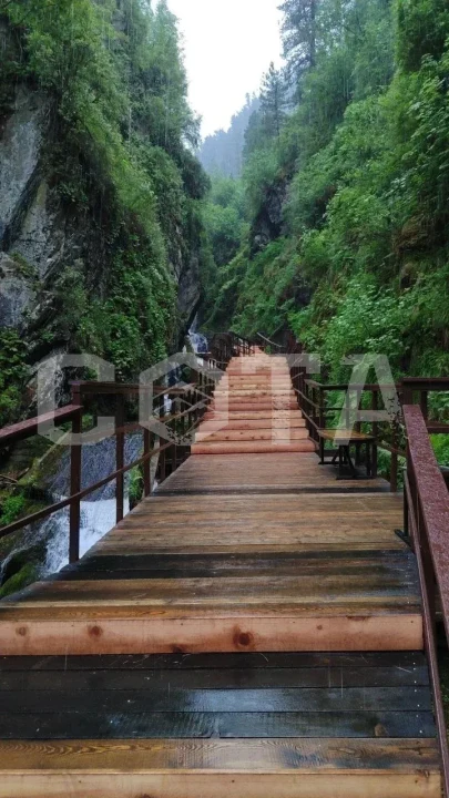 Чудеса Горного Алтая - фото 3