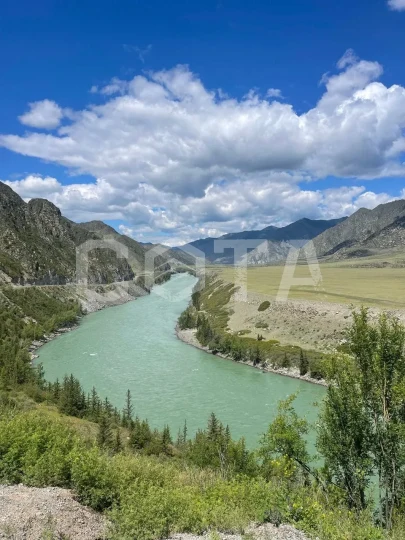 PROАлтай: Вдохновение гор - фото 11