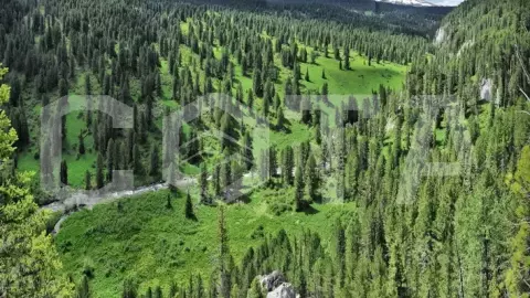 Конный тур по Алтаю Каракольские озера — кольцевой - фото 5