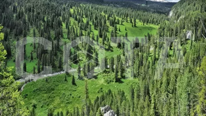 Конный тур по Алтаю Каракольские озера — кольцевой - фото 5