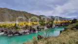 Галопом по Алтаю - фото 1 (миниатюра)