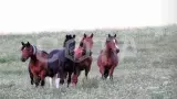 Конный тур Емурлинский водопад — лучший тур активного отдыха осенью или весной! - фото 9 (миниатюра)