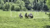 Конный тур Емурлинский водопад — лучший тур активного отдыха осенью или весной! - фото 2 (миниатюра)