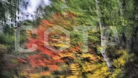 Конно-водный тур Алтай для новичков - по силам каждому! - фото 2