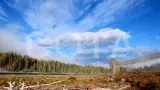 Автомобильный тур: Алтай — уникальная дорога мира - фото 19 (миниатюра)