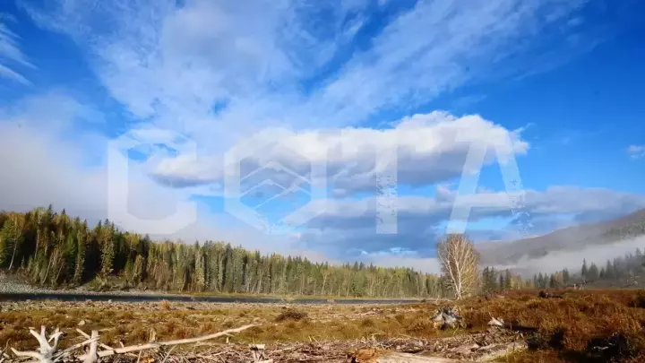 Автомобильный тур: Алтай — уникальная дорога мира - фото 19