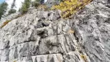 Конный тур по Алтаю Каракольские озера — кольцевой - фото 13 (миниатюра)