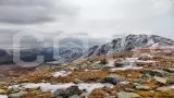 Конный тур по Алтаю Каракольские озера — кольцевой - фото 11 (миниатюра)