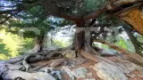 Джип-тур К вершинам Алтая (8 дней) - фото 38 (миниатюра)