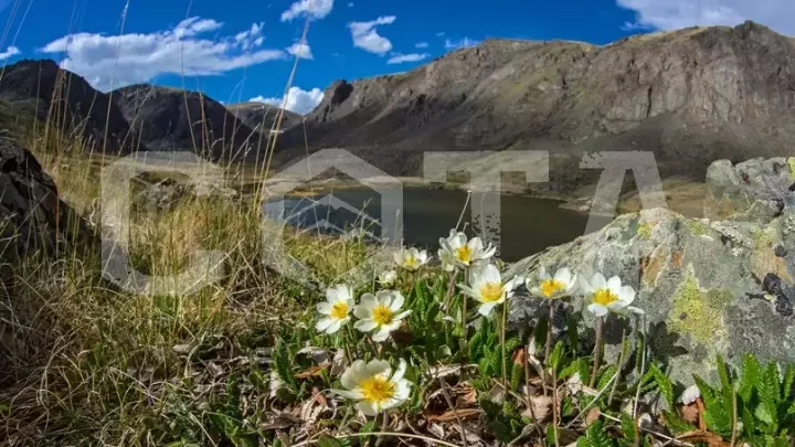 Джип-тур К вершинам Алтая (8 дней) - фото 7