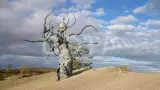 Байкал. От Ольхона до Аршана - фото 13 (миниатюра)