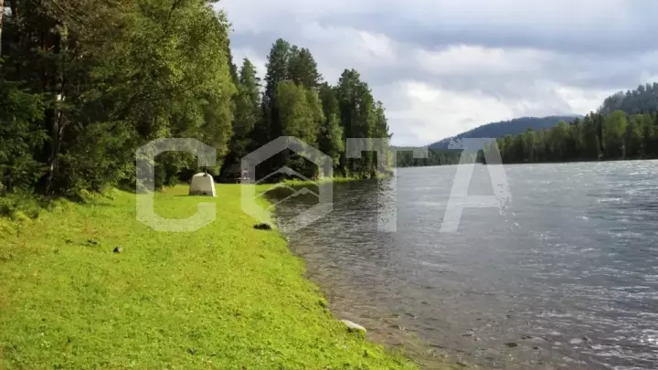 Сплав по реке Бия - фото 6
