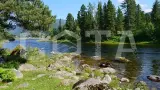 Сплав по реке Бия - фото 13 (миниатюра)
