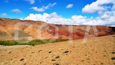 Разноцветный Алтай - фото 5