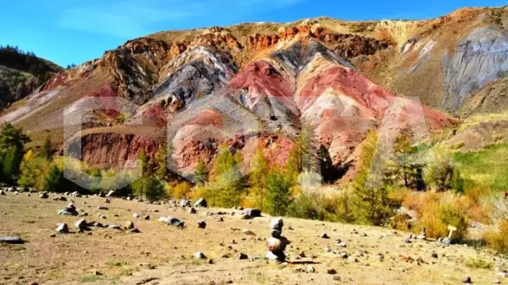 Разноцветный Алтай - фото 8