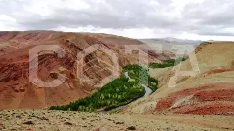 Разноцветный Алтай - фото 4