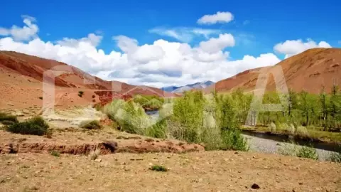 Разноцветный Алтай - фото 3