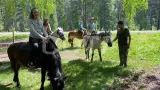 Йога - выходные на Алтае - фото 18 (миниатюра)