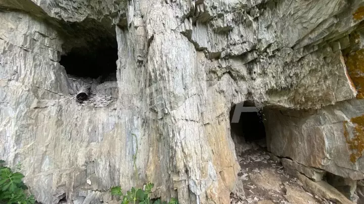 Йога - выходные на Алтае - фото 14