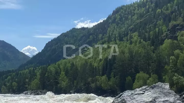 Йога - выходные на Алтае - фото 11