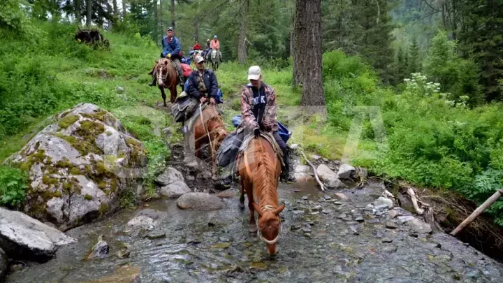 На лошадях к Белухе и сплав по Катуни - фото 3