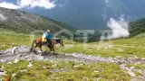 На лошадях к Белухе - фото 1 (миниатюра)