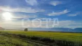 80-е. Весело и дружно - фото 22 (миниатюра)